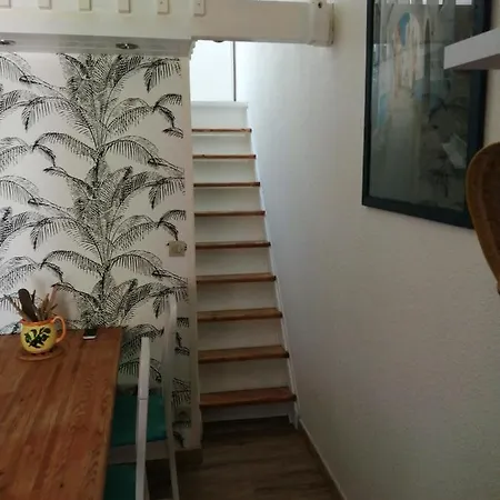 Les Lavandines Holiday home *